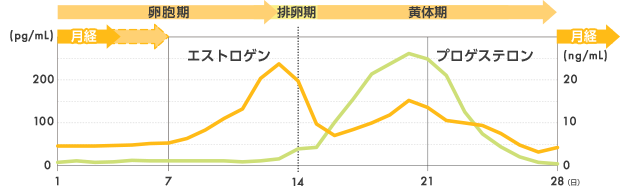 月経移動ってなに？～大事なイベントと生理のタイミングをずらすに関する画像