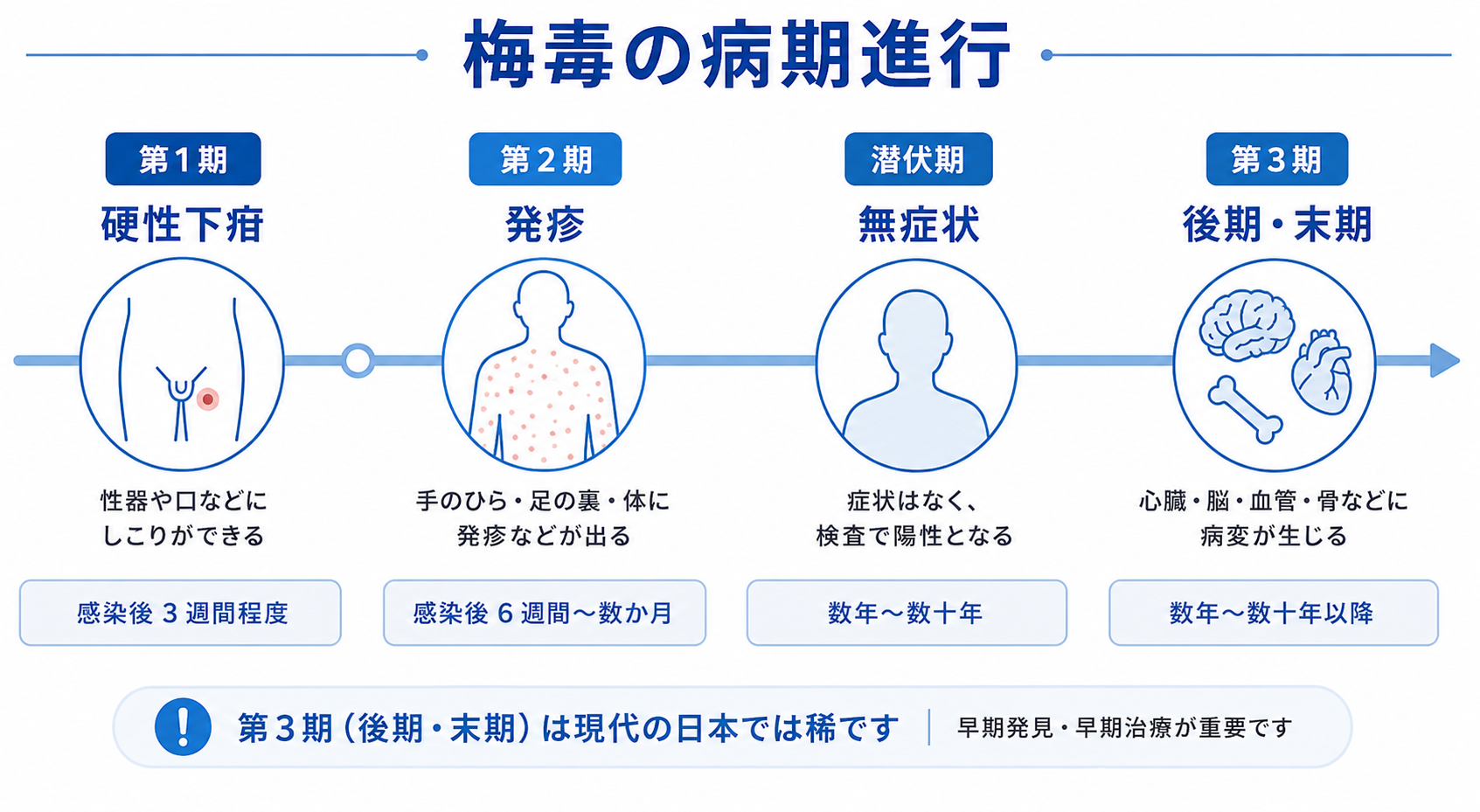 梅毒の病期についての図