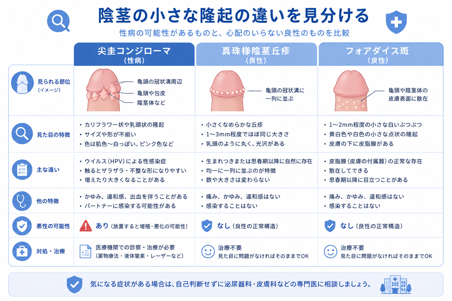 陰茎のイボと尖圭コンジローマの見分け方を示した図
