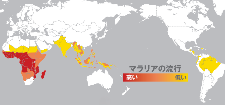 Who International travel and health